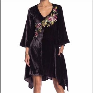 Nwt Aratta velvet embroidered dress